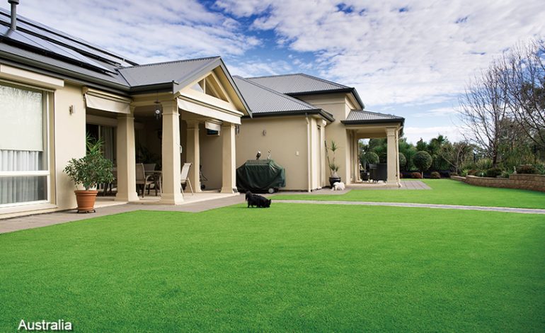 How To Enjoy Your Artificial Grass For Backyard Or Garden?