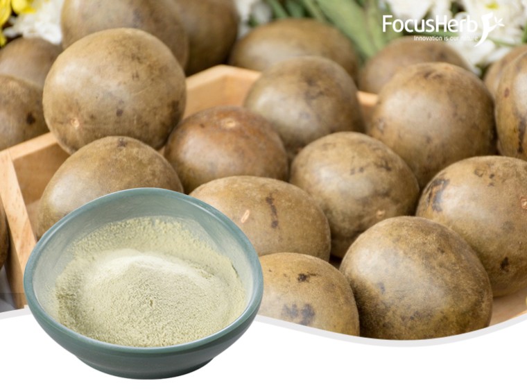 Monk Fruit Extract