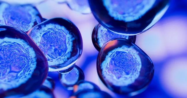 Applications of Sterile Filtration
