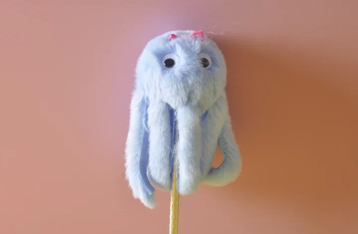 Some Must-Have pen Gifts For The Upcoming Halloween Season