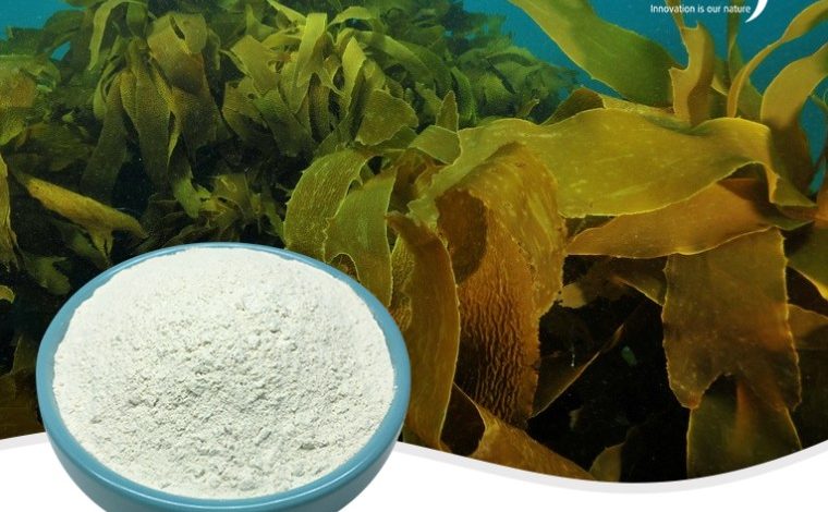 Exploring the Benefits of Herbal Extracts for Health and Wellness