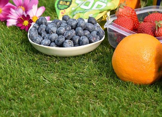 Creative Uses for Artificial Grass Mats Indoors and Out