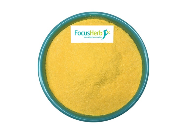 Dihydroberberine: A Potent Compound for Modern Health and Wellness
